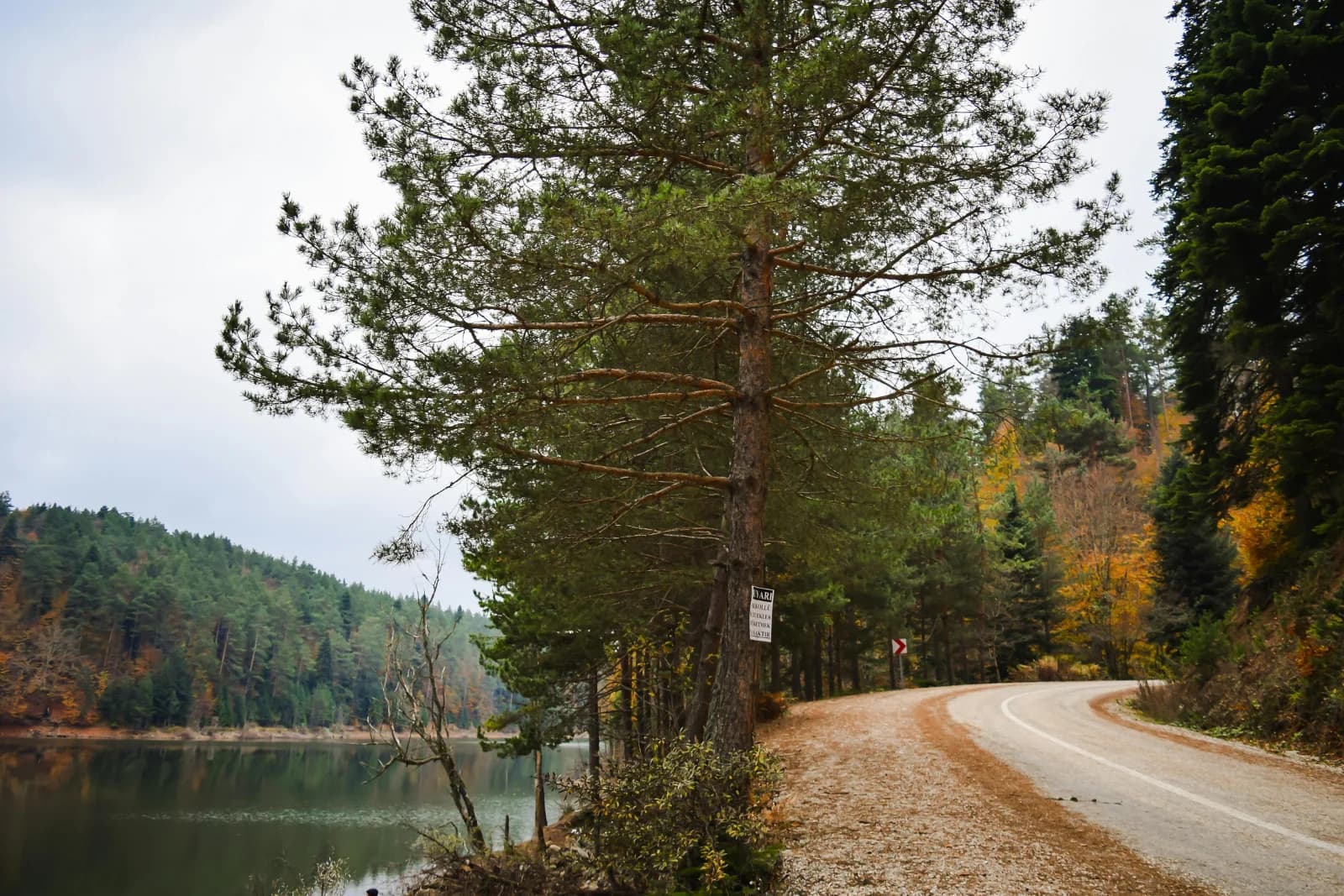 Soğucakpınar Mahallesi